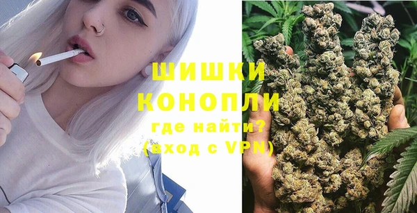 стаф Семилуки