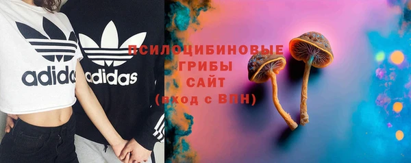 стаф Семилуки