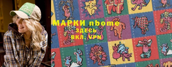 стаф Семилуки