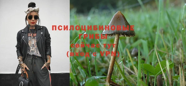 спиды Абаза