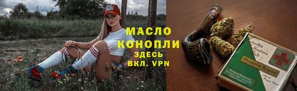 стаф Семилуки