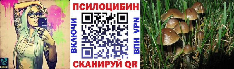 Галлюциногенные грибы Magic Shrooms  Дальнереченск 